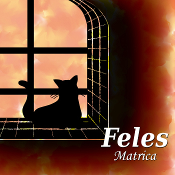 Feles